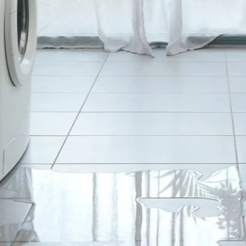 Appliance Leak Cleanup in City of Fairfax, VA