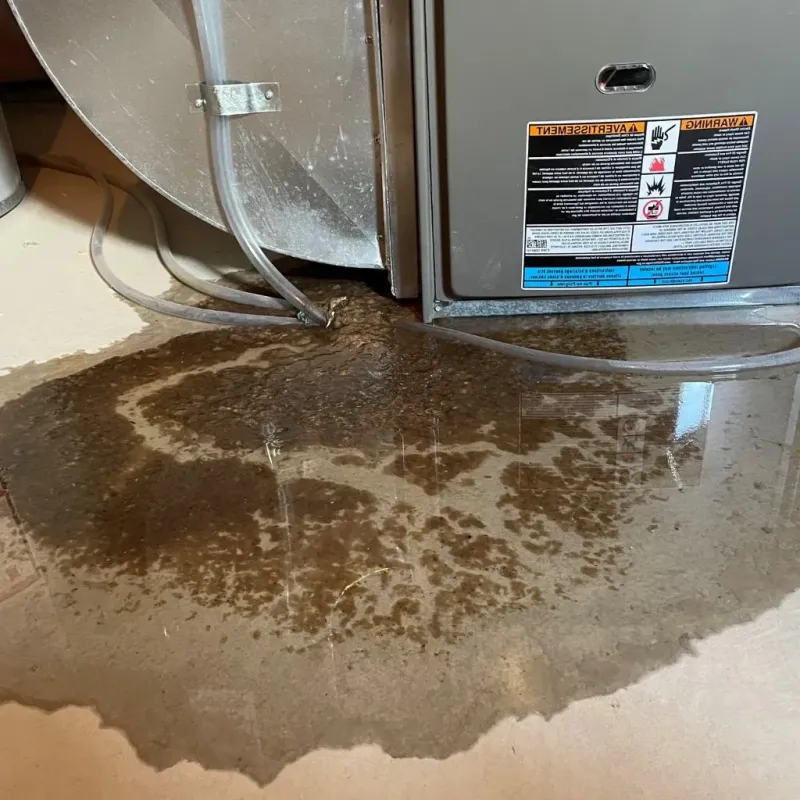 Pipe Burst and Leak Restoration in City of Fairfax, VA